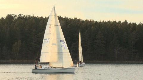 Ons0502